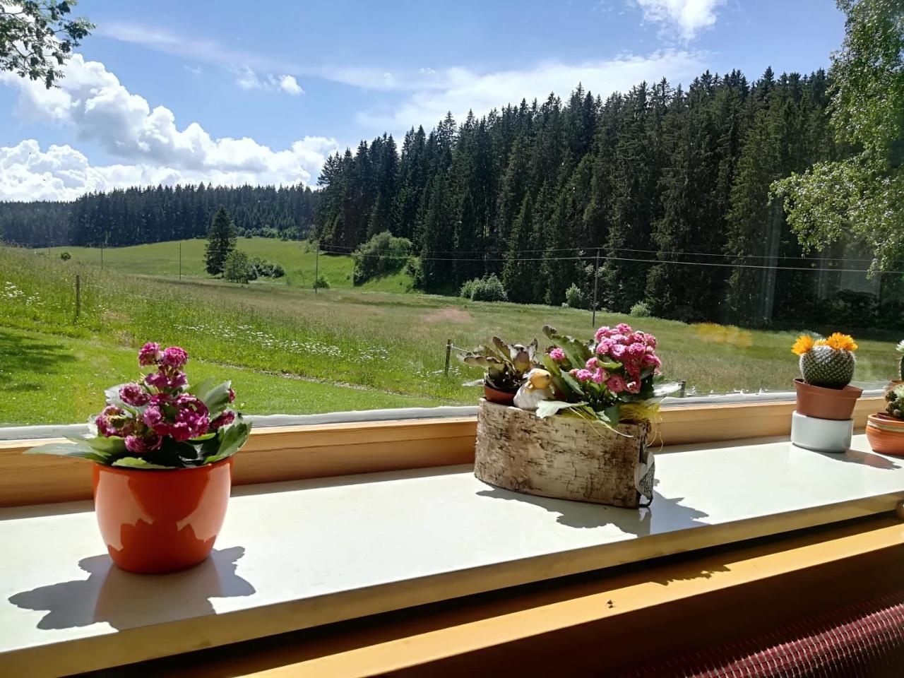 Hotel Kaltenbach Schönwalde Zewnętrze zdjęcie